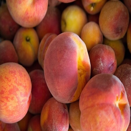 Georgia Peach Fragrance Oil (Our Version of the Brand Name) (16 oz Bottle) for Candle Making, Soap Making, Tart Making, Room Sprays, Lotions, Car Fresheners, Slime, Bath Bombs, Warmers&#x2026;