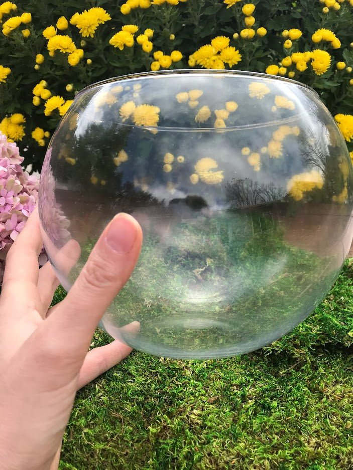 Terrarium - Medium 7.5&#x22; Glass Globe