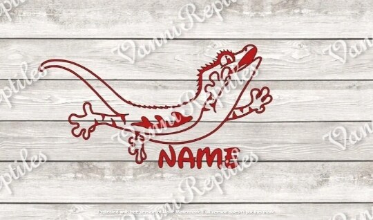 Dry Rub Off Decal Paper - Gecko Paper