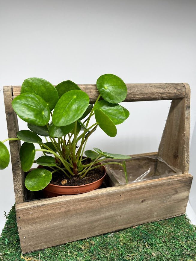 Wood Handled Trug Planter
