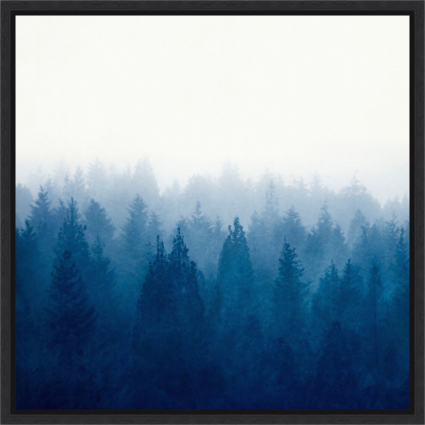 Heart and Soul - Foggy Forest by Dirk Wustenhagen Framed Canvas Wall Art