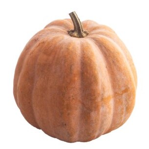 Project Party- Faux Terra Cotta Pumpkin