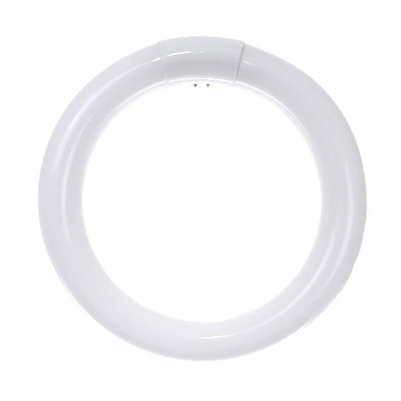 SUNLITE FC8T9 22W T9 4100k Cool White 8inch Circline Fluorescent Bulb