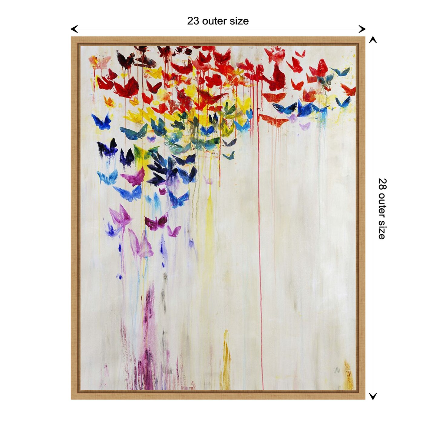 Butterfly Spectrum II by Jodi Maas Canvas Art Framed