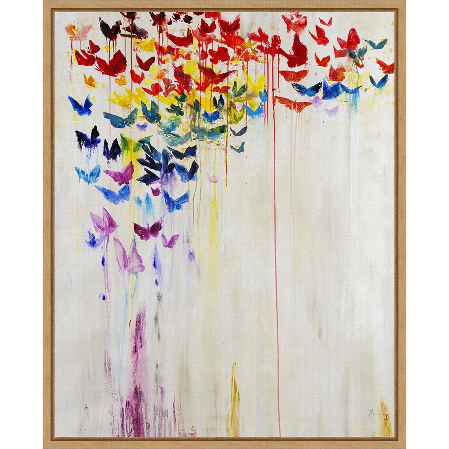 Butterfly Spectrum II by Jodi Maas Canvas Art Framed