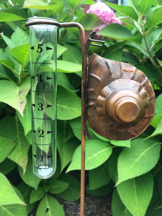 Rain Gauge - Snail
