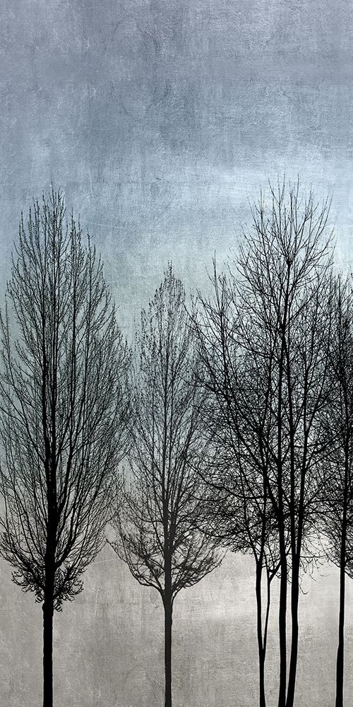 Tree Silhouette I Poster Print by Kate Bennett # KTB115133
