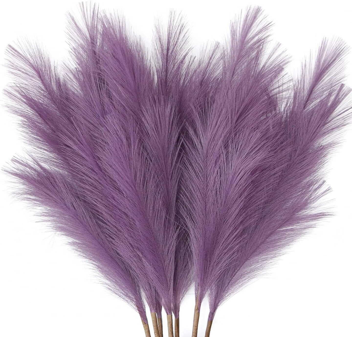 Pampas Grass: Elegant Decor for Home and Wedding Decor