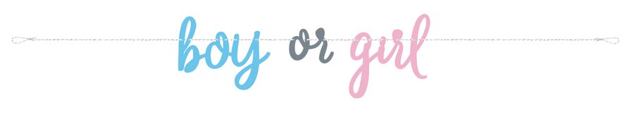 Blue or Pink Gender Reveal Banner, 7ft