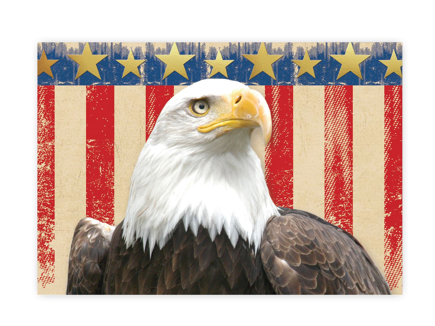 Great Papers! Note Card and Envelope, Patriotic with Gold Foil, 4.75" x 3.375"(folded), 20 count