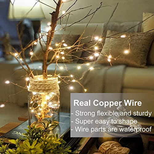 LEDIKON 20 Pack LED Fairy Lights Battery Operated String Lights - 3.3ft 20 LED,Copper Wire Warm White | Wedding,Party Centerpieces,Table Decor | DIY Crafts,Graduation,Home Decor | Mason Jars D&#xE9;cor