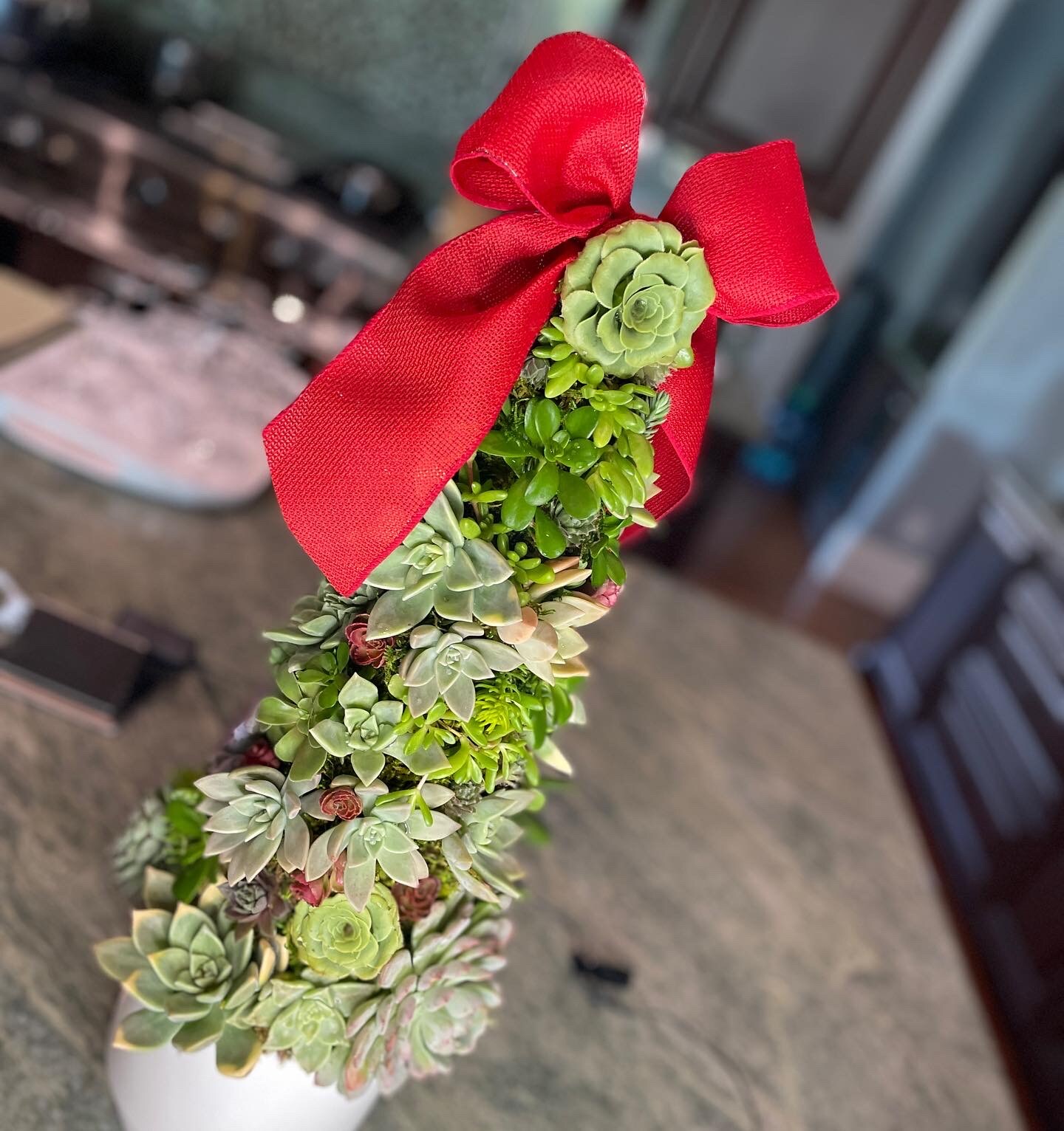 Succulent Christmas Tree image 2