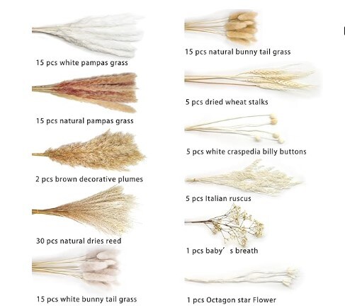 Dried Pampas Grass D&#xE9;cor, White Pompous Grass, Bunny Tails Dried Flowers Reed Grass, 17 inch Pompass Grass for Flower Arrangements Home D&#xE9;cor for a Boho Wedding