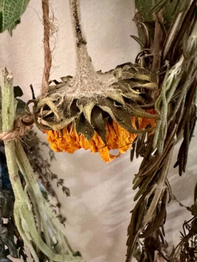 Hanging Herbs and Flowers | MakerPlace by Michaels