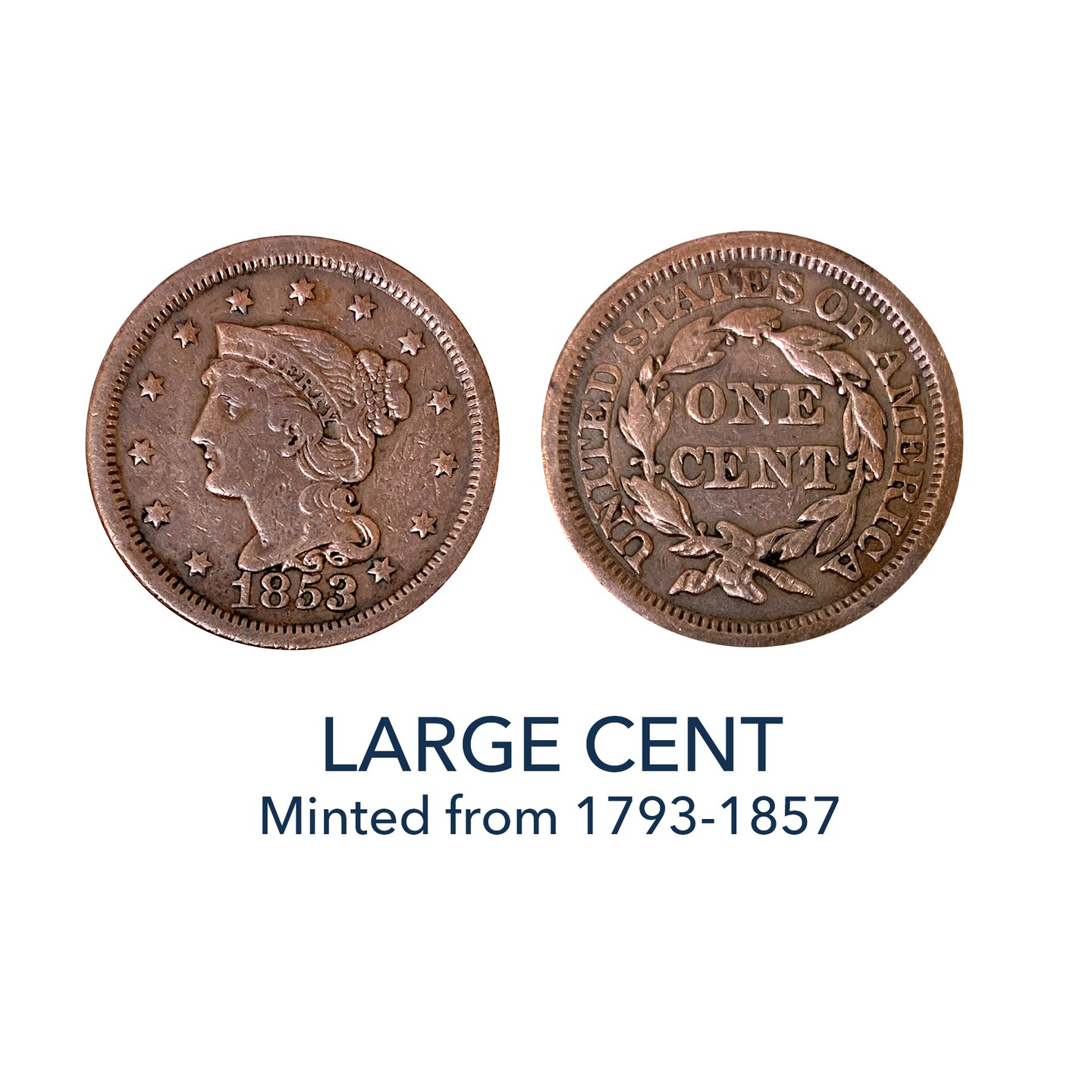 Collector&#x27;s Favorites - Large Cent 1793-1857