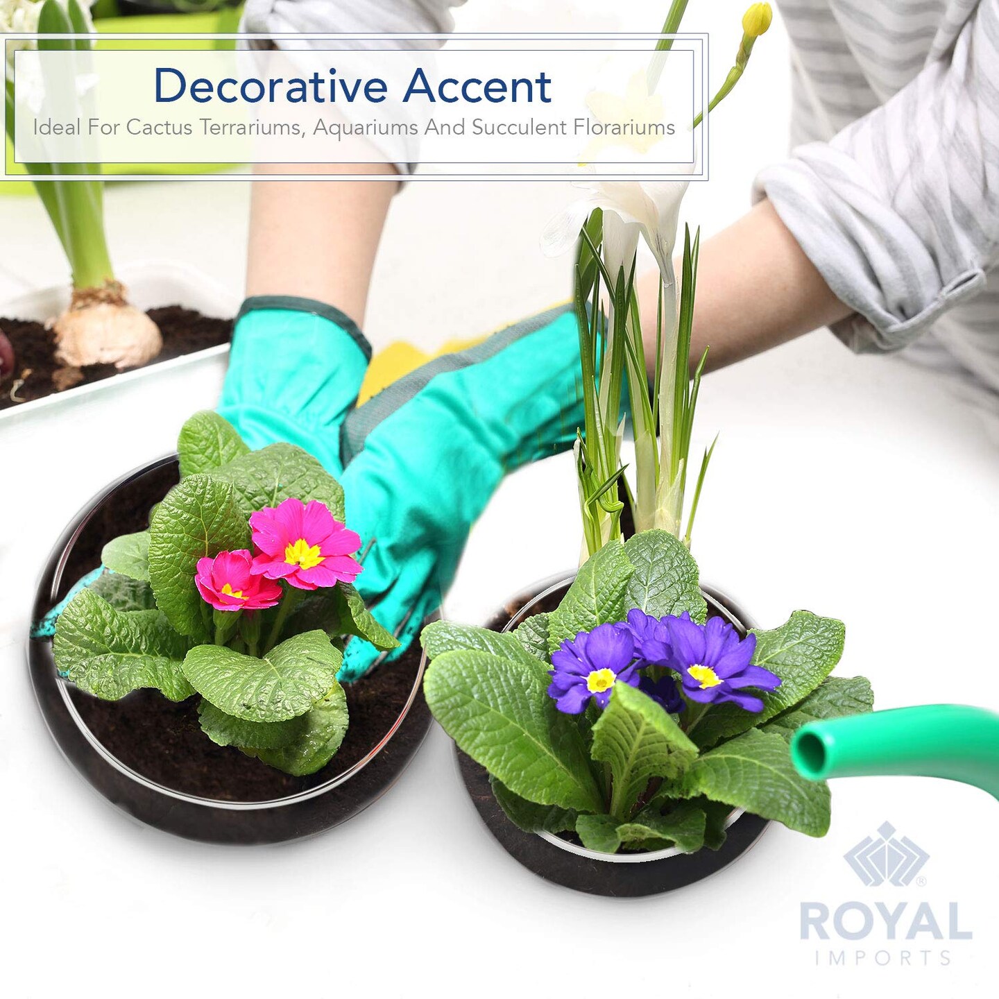 2 Pieces Flower Glass Vase, Bowl Terrarium Succulent Planter, Air Plant Hydroponic Display, Floating Candles Decorative Centerpiece Floral Container for Home or Wedding , Clear