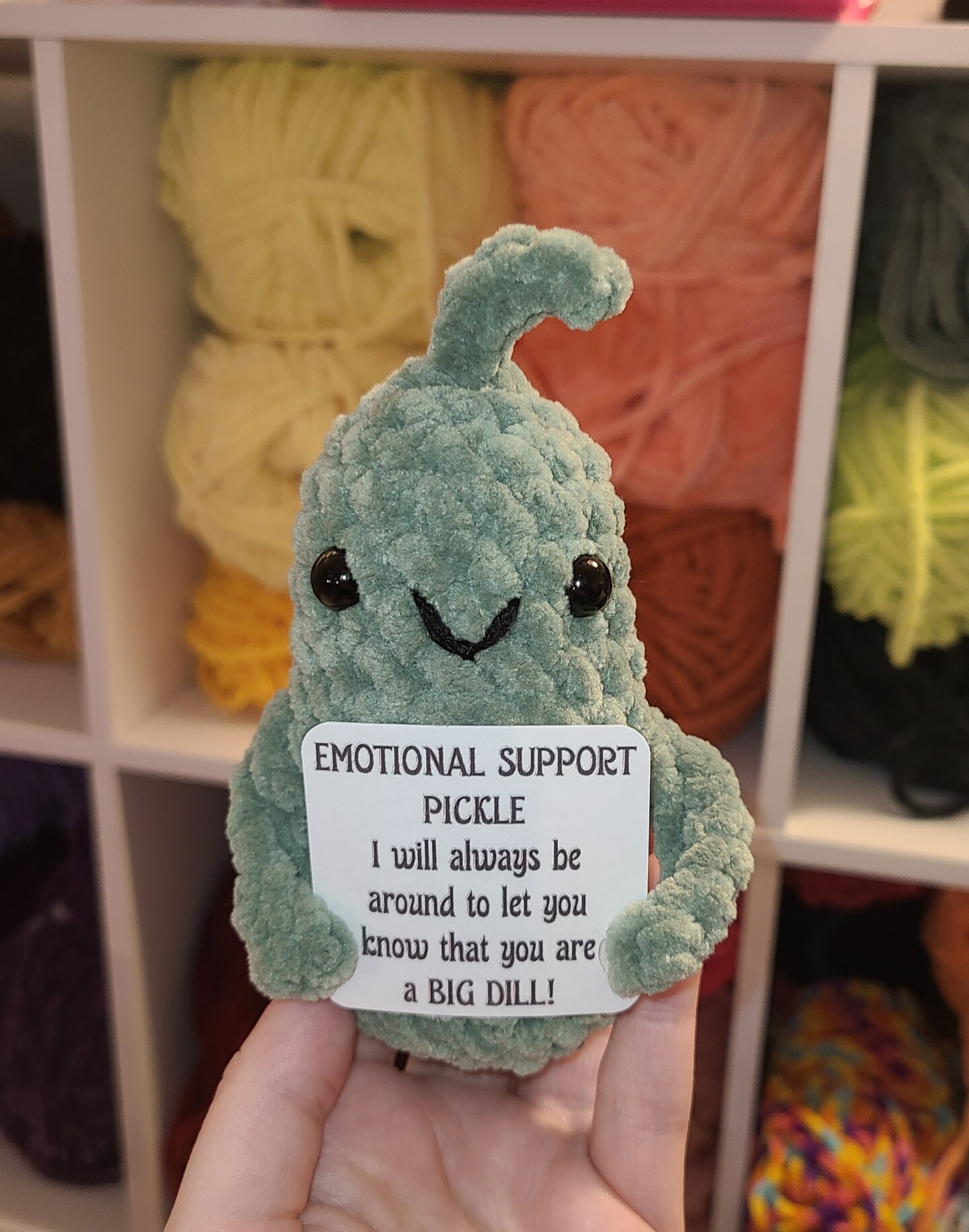 Crocheted emotional support pickle plush | MakerPlace by Michaels