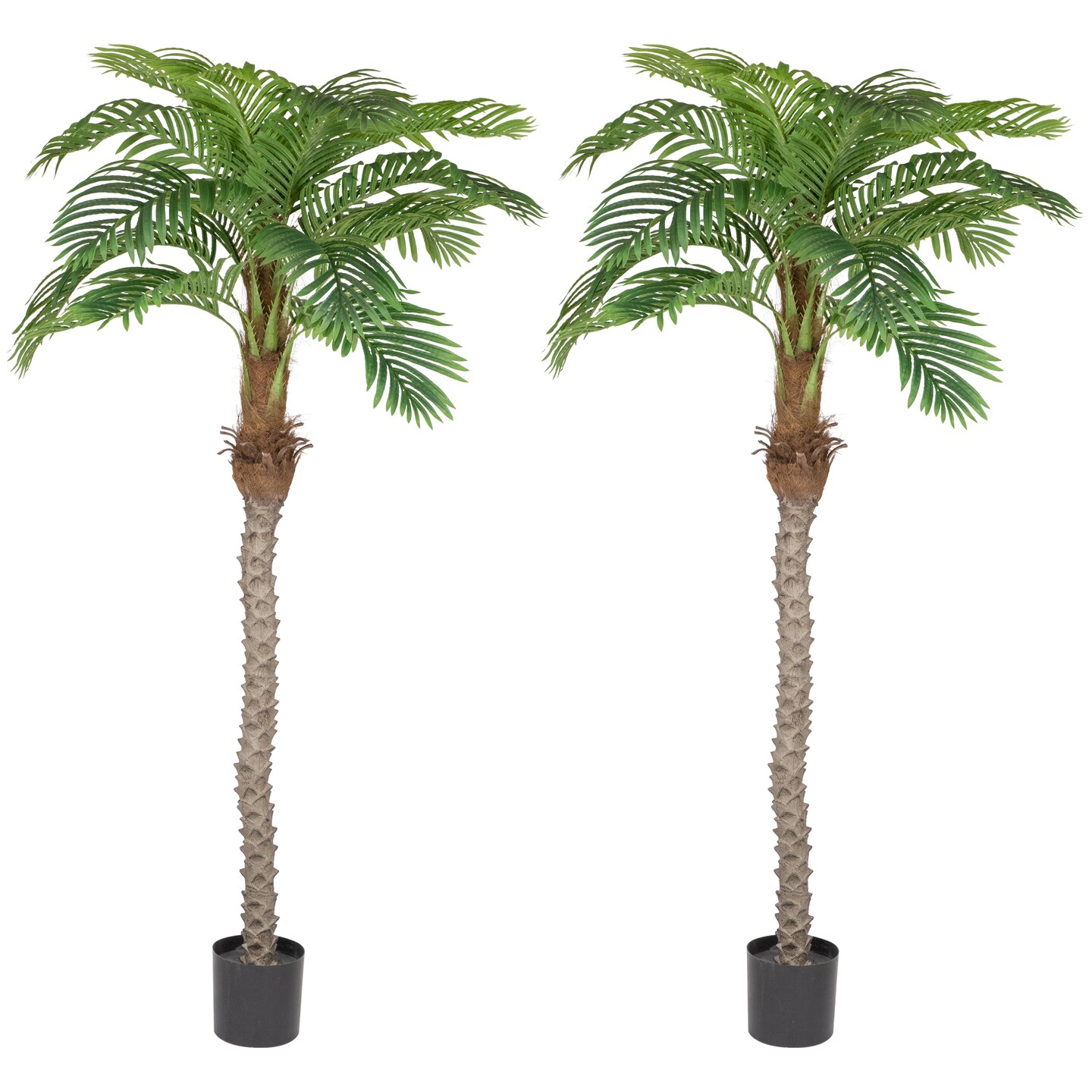 Northlight Artificial Potted Palm Trees - 6' - Set of 2 | Michaels