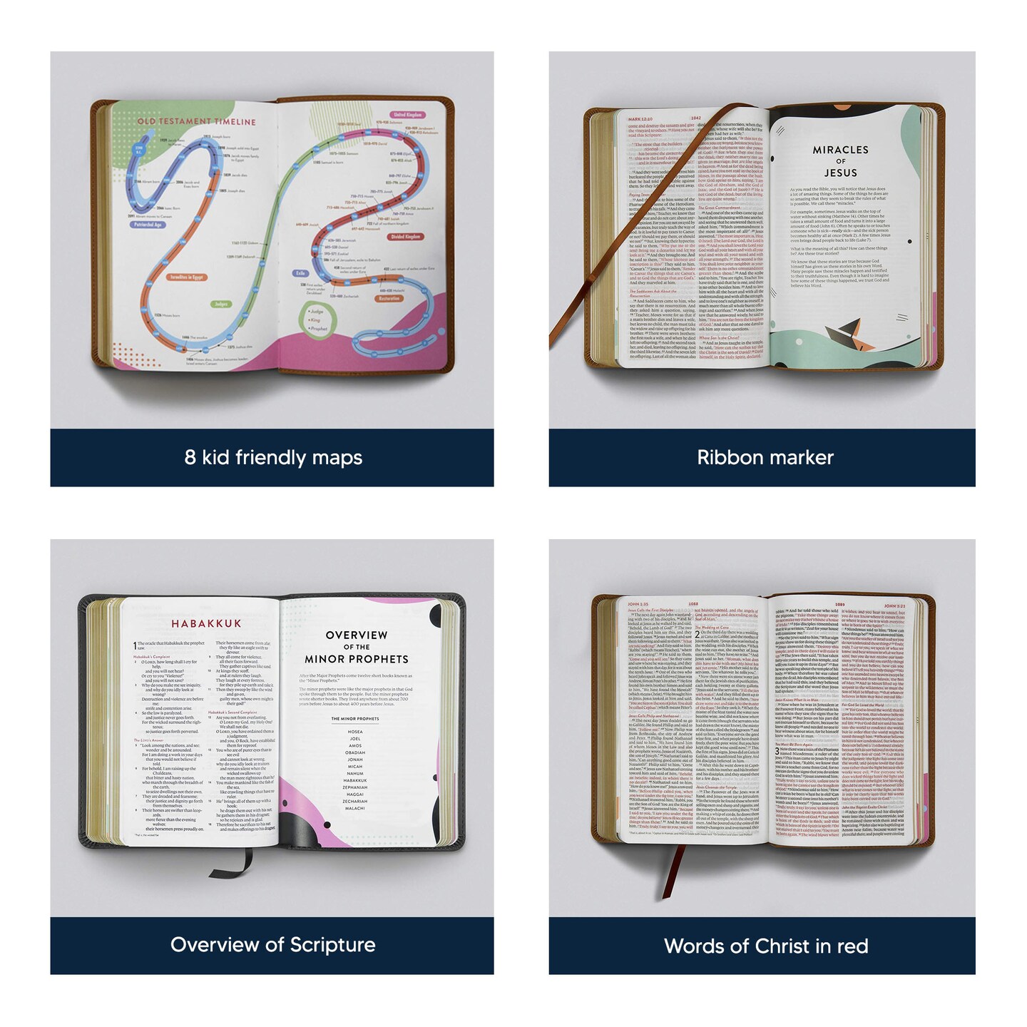 Basic Red Scripture Case  Fits Standard Scriptures