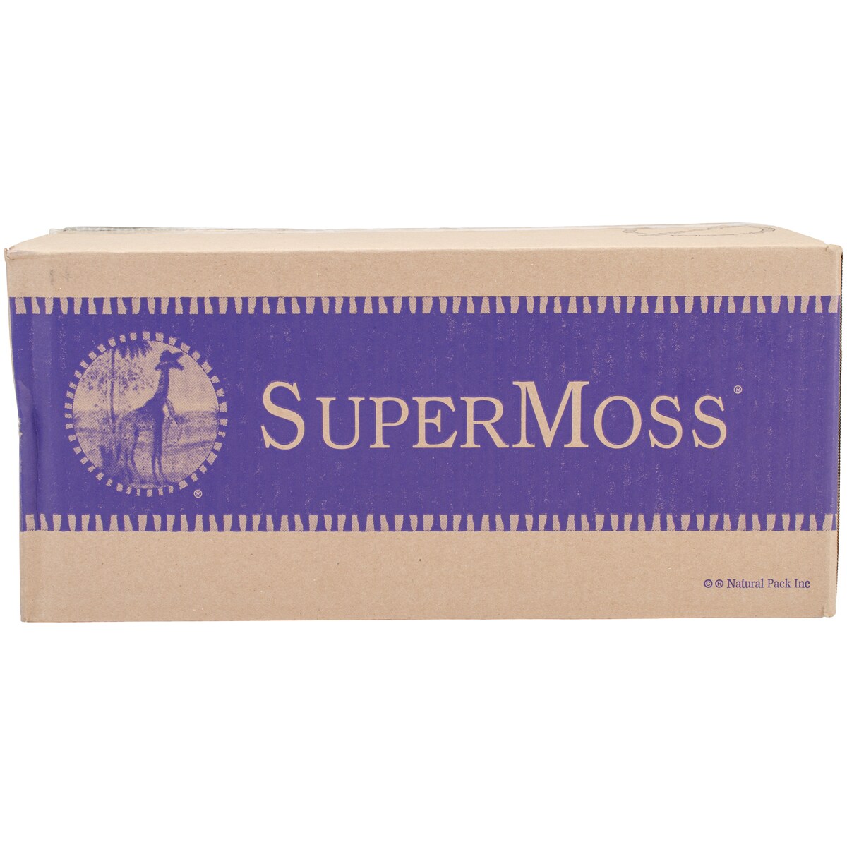 SuperMoss Reindeer Moss - Chartreuse - 2-ounce - Craft Warehouse