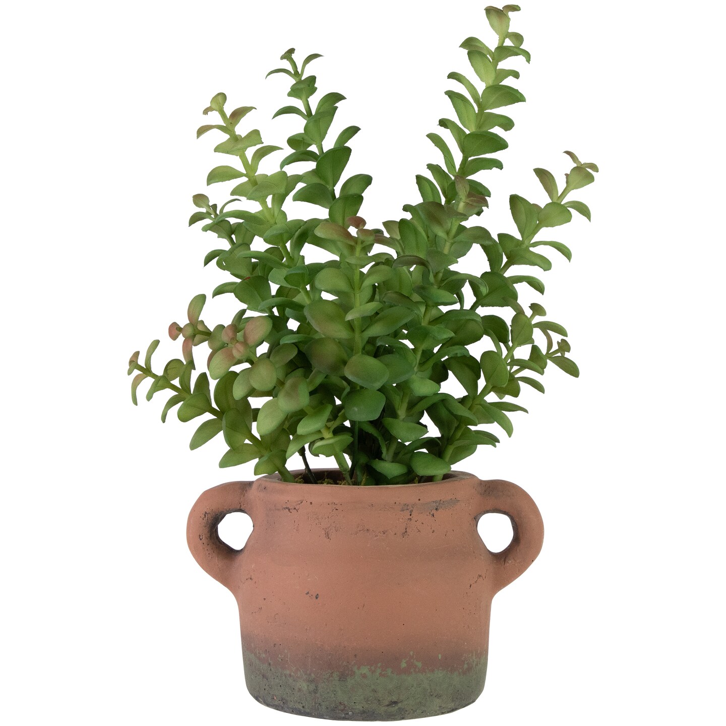 Northlight Real Touch&#x2122; Artificial Privet Plant in Vintage Milk Can Style Earthenware Pot - 14&#x22;