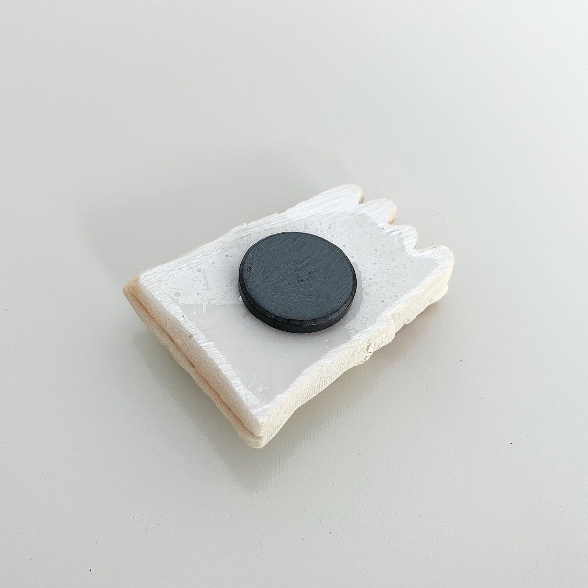 Wrapables 3D Resin Fridge Magnets, Food Simulation, Succulents, Famous Faces Refrigerator Magnets for Kitchen (Set of 5)