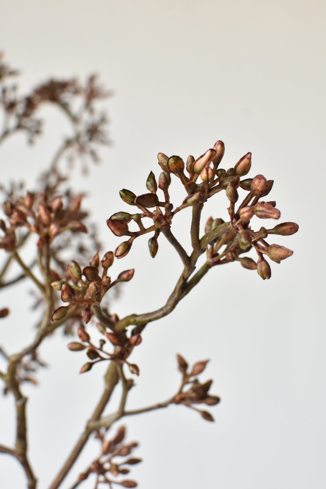 38&#x22; Faux Brown Sedum Berry Branch