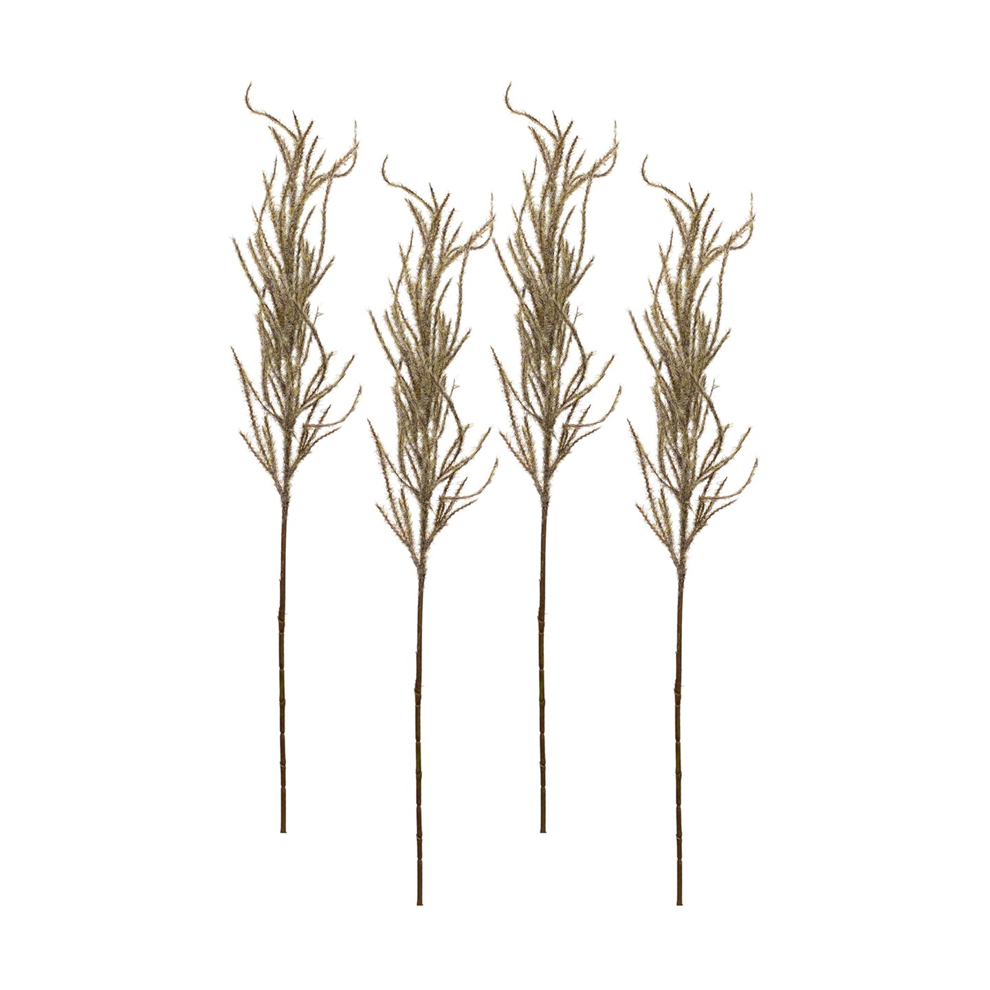 Flocked Pampas Spray (Set of 4)