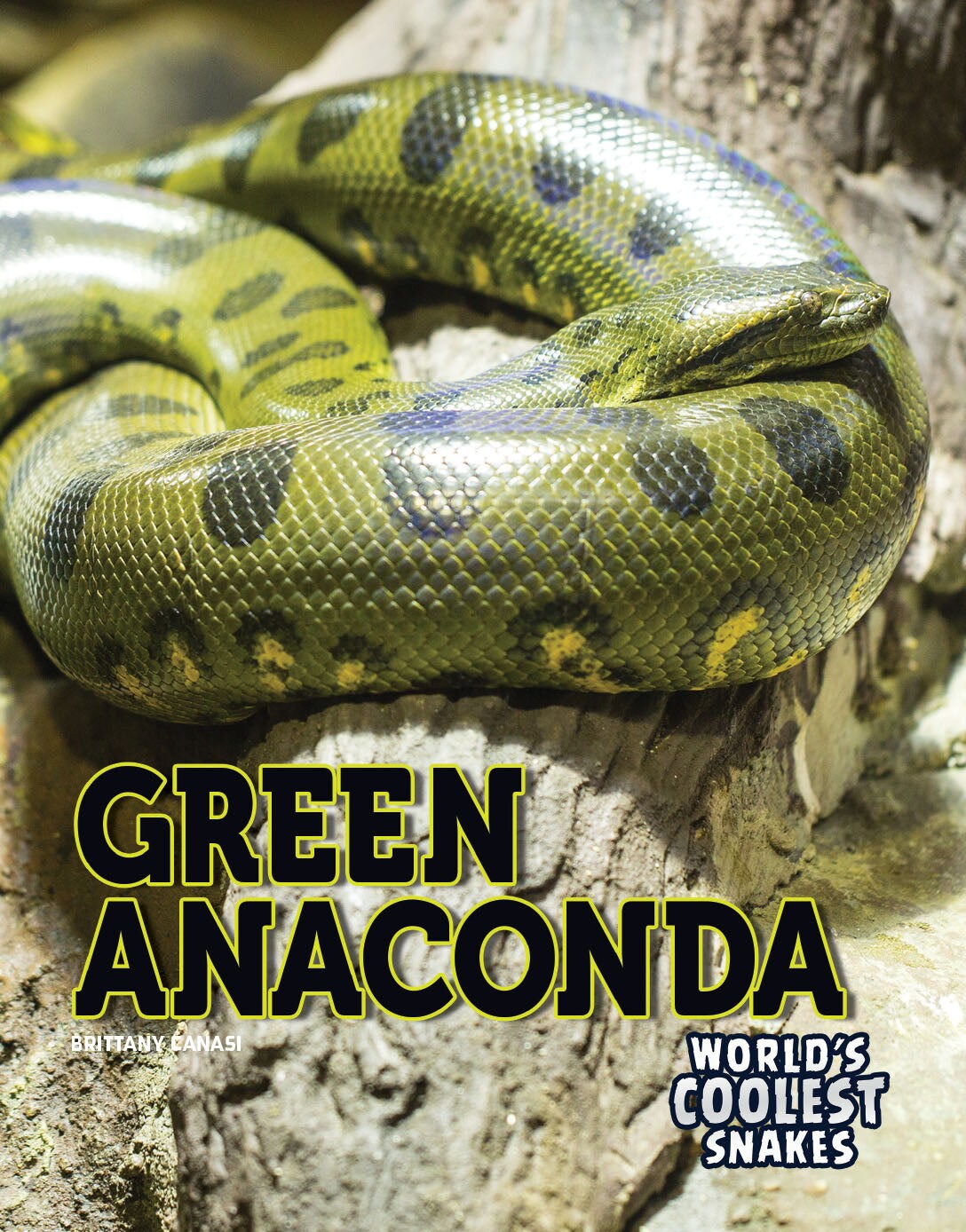 Rourke Educational Media Green Anaconda