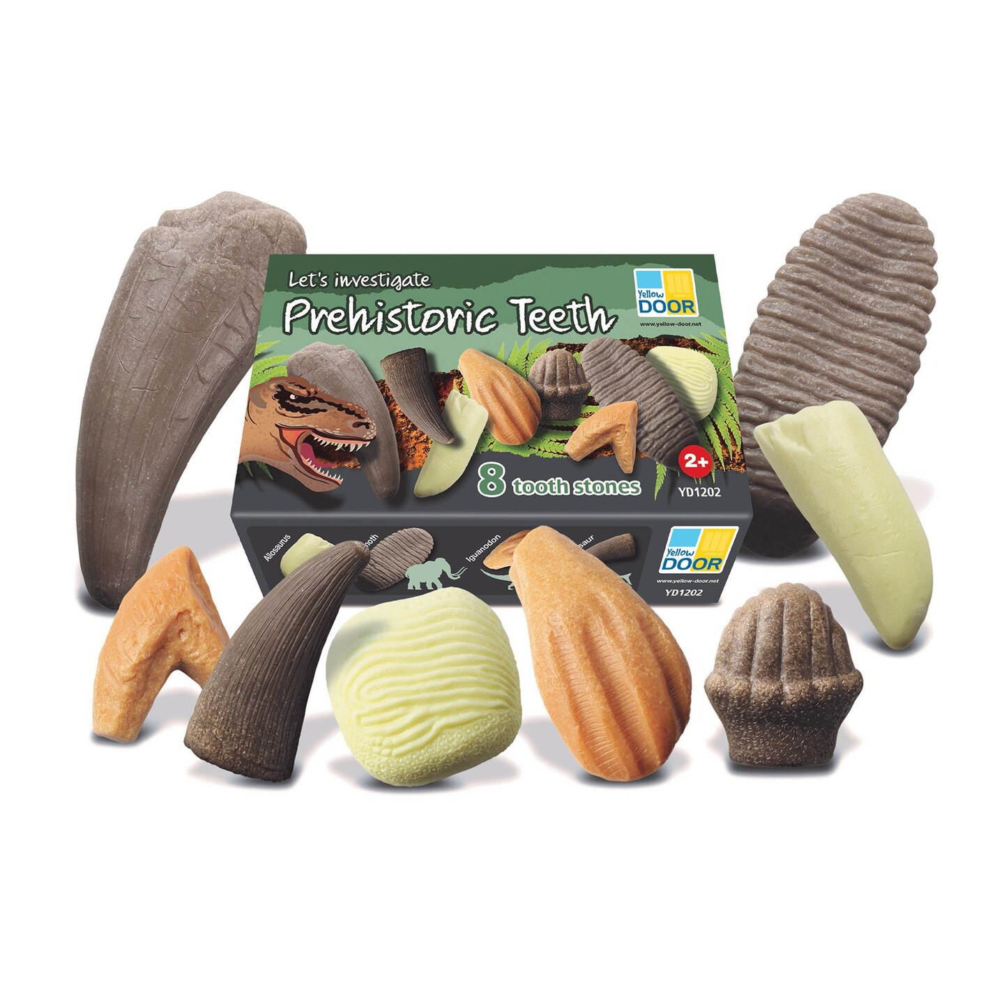 Let&#x27;s Investigate &#x2013; Prehistoric Teeth, Set of 8