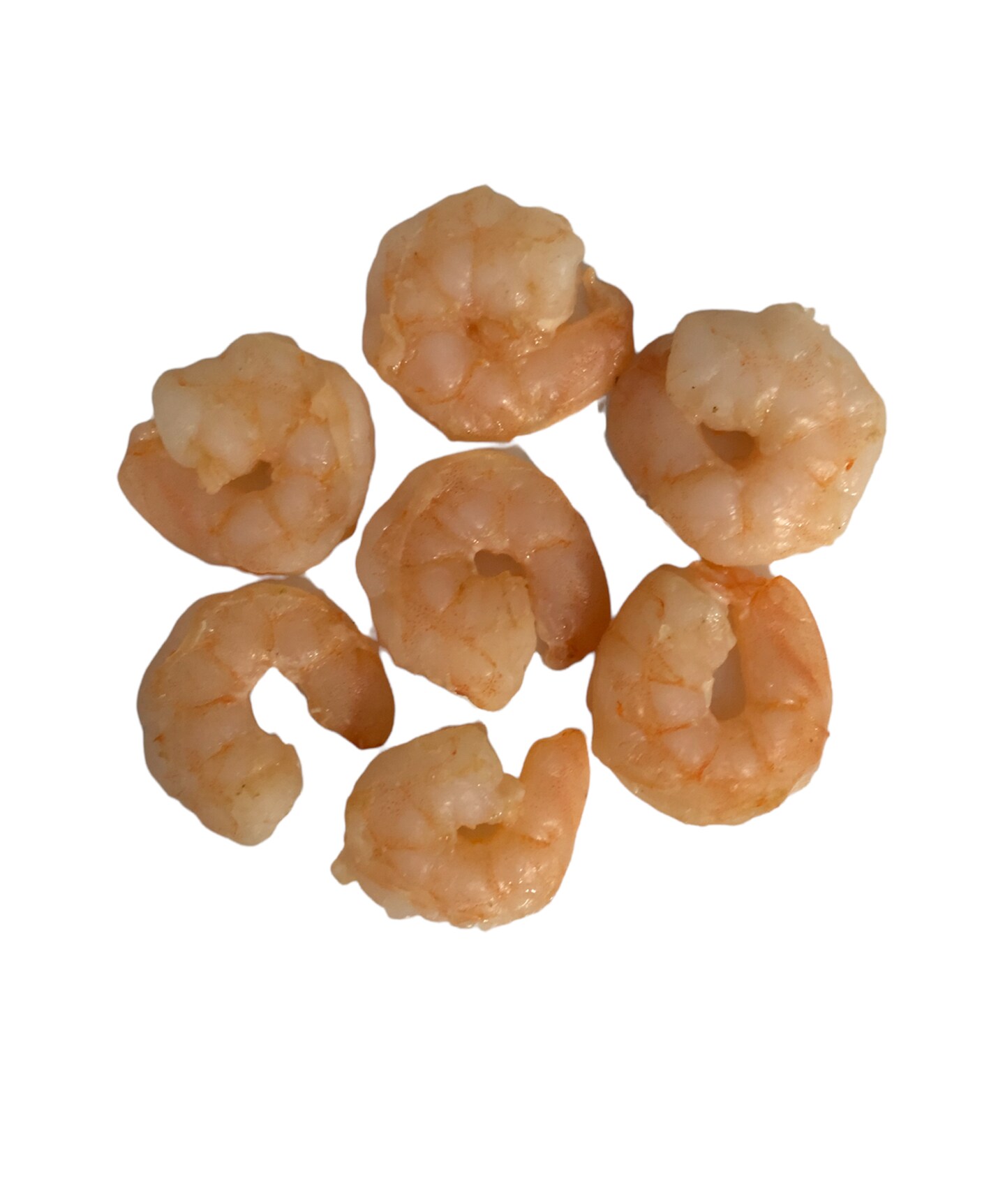 Realistic Silicone Shrimp Shells - 6 pcs - FrostyFly