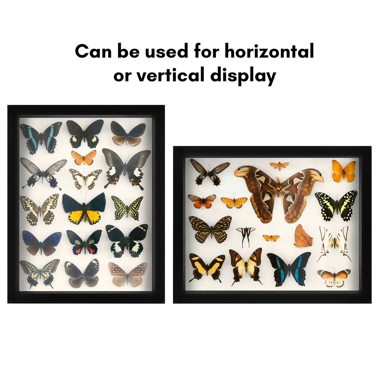 Americanflat Shadow Box Frame - 1.5 Interior Depth for Memorabilia - Display Case for Showcasing Souvenirs, Awards, and Medals - Shatter Resistant Glass - Hanging Hardware