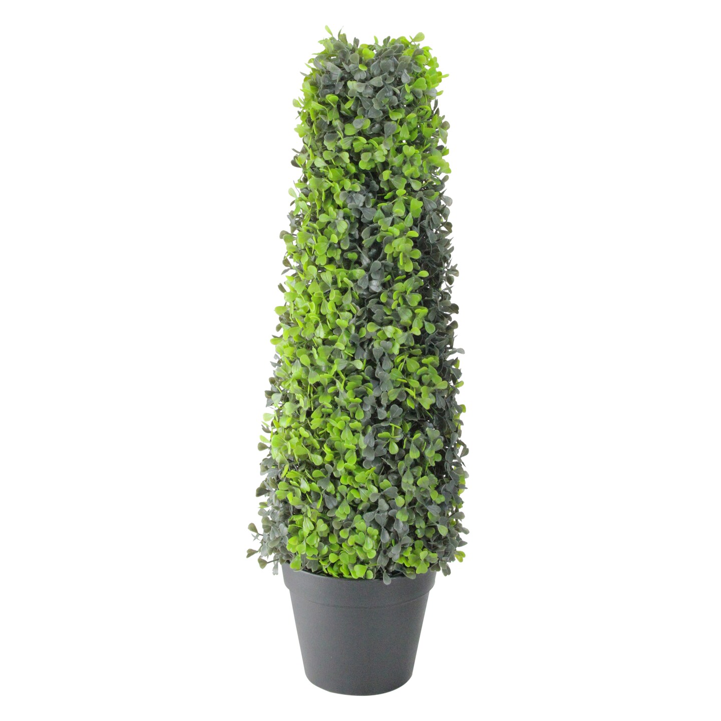 Northlight 25&#x22; Green and Black Potted Two-Tone Boxwood Cone Artificial Topiary Tree
