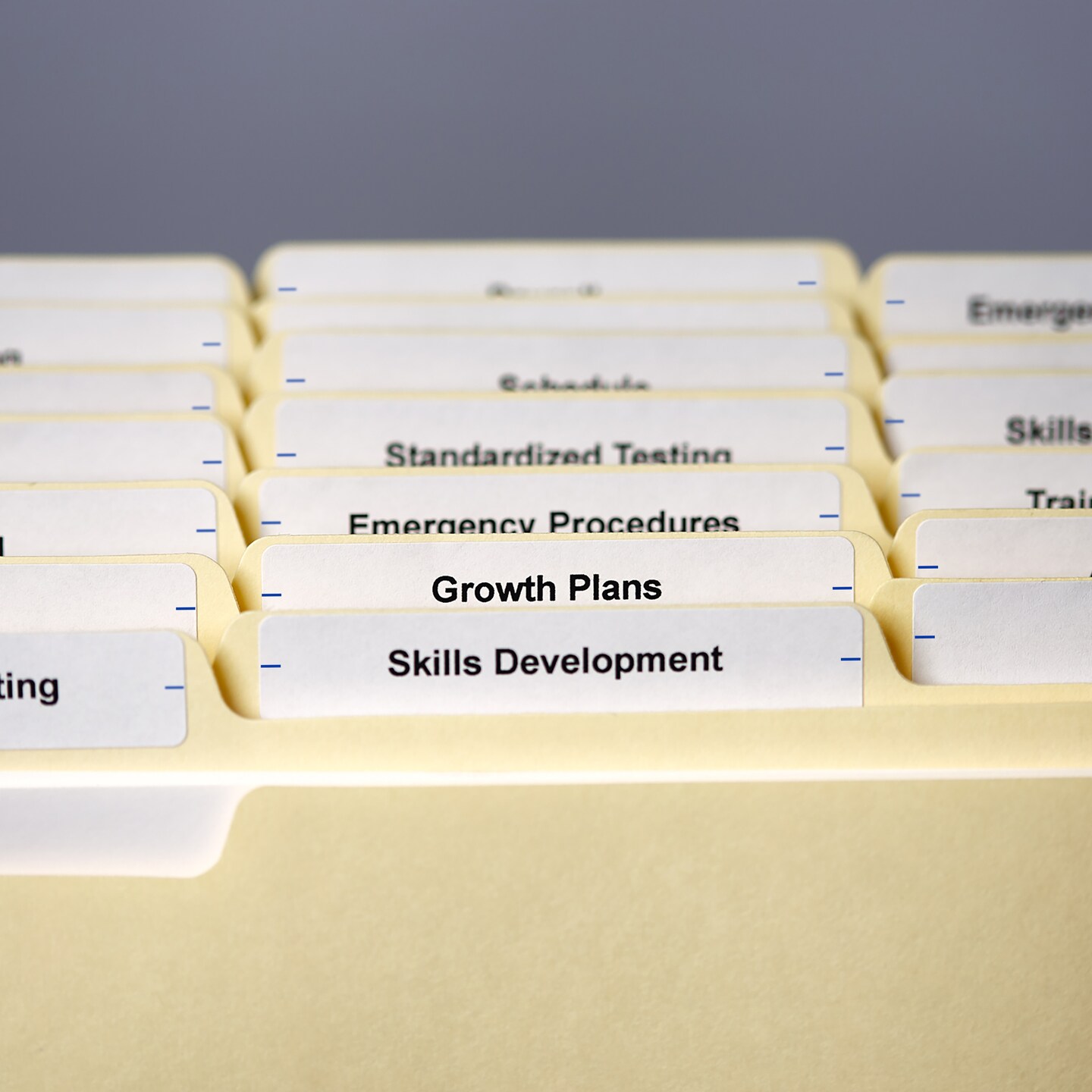 Avery Easy Peel Permanent File Folder Labels on 4" x 6" Sheets, 2/3" x 3-7/16", White, 3 Pack, 756 Labels Total (32131)