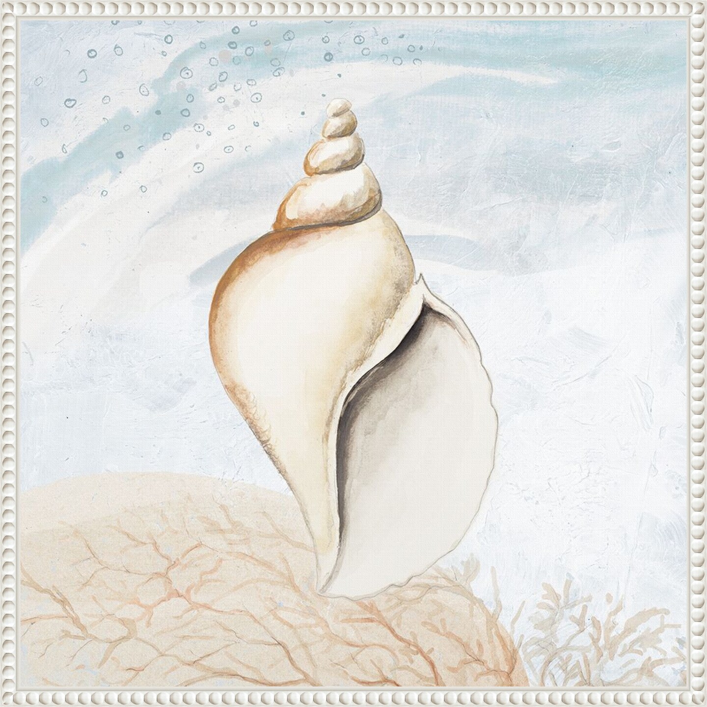 Ocean Oasis Tropical Seashell I by Patricia Pinto Framed Canvas Wall Art