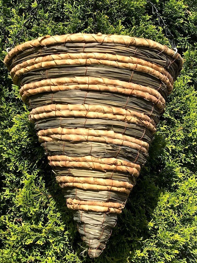 12&#x22; SAMANTHA Cone Hanging Basket