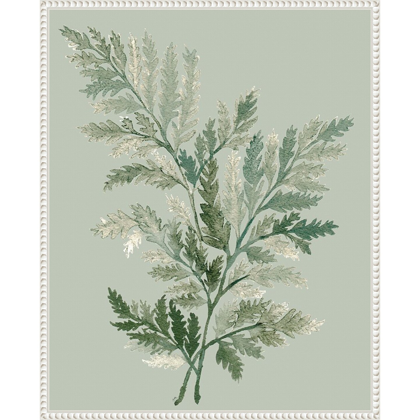 Tonal Green Ferns I by Elizabeth Medley Framed Canvas Wall Art