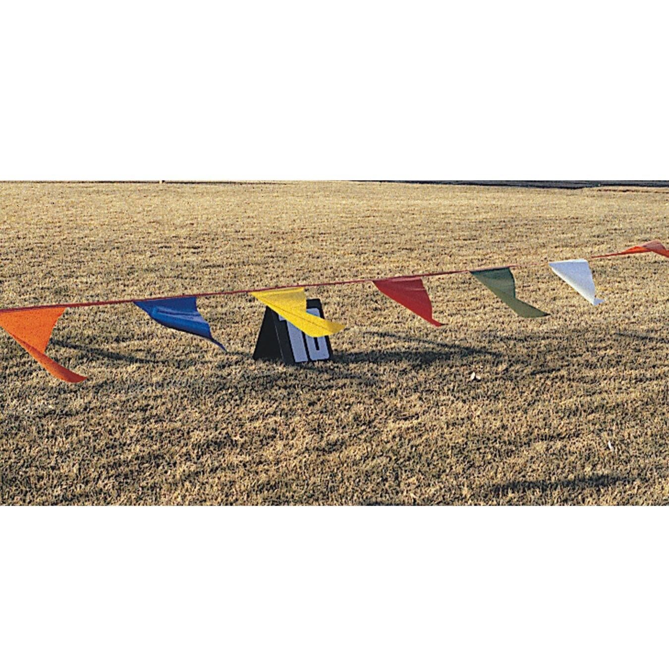 S&#x26;S Worldwide 100&#x27; Long Pennant Streamer. 18&#x22; Long Nylon Fabric Pennants in Assorted Colors Attached to a Strap. Perfect for Marking Fields, Directing Crowds, Cross Country Meets and More.