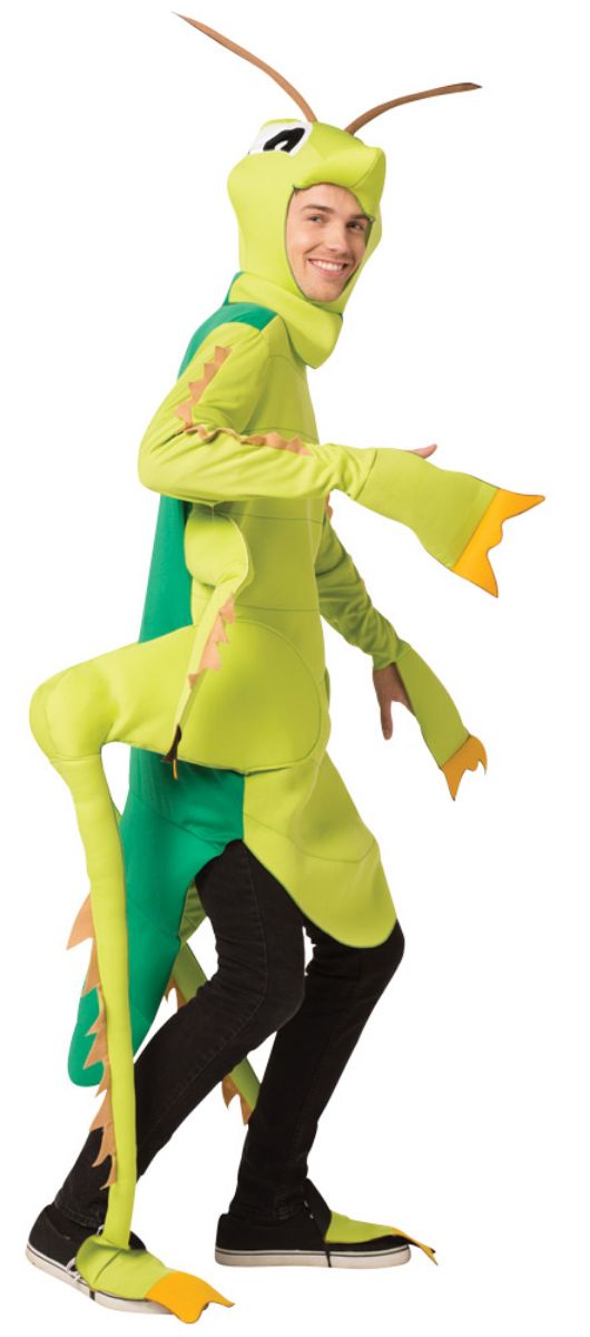 The Costume Center Green and Black Grasshopper Men Adult Halloween Costume - Large