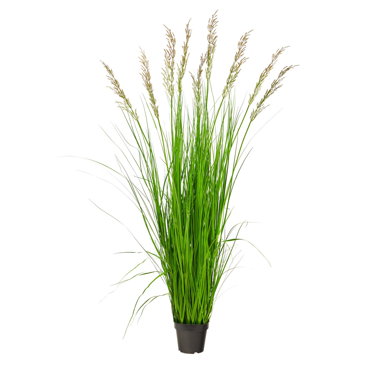 Nearly Natural 5.5&#x27; Artificial Plume Grass Potted Plant