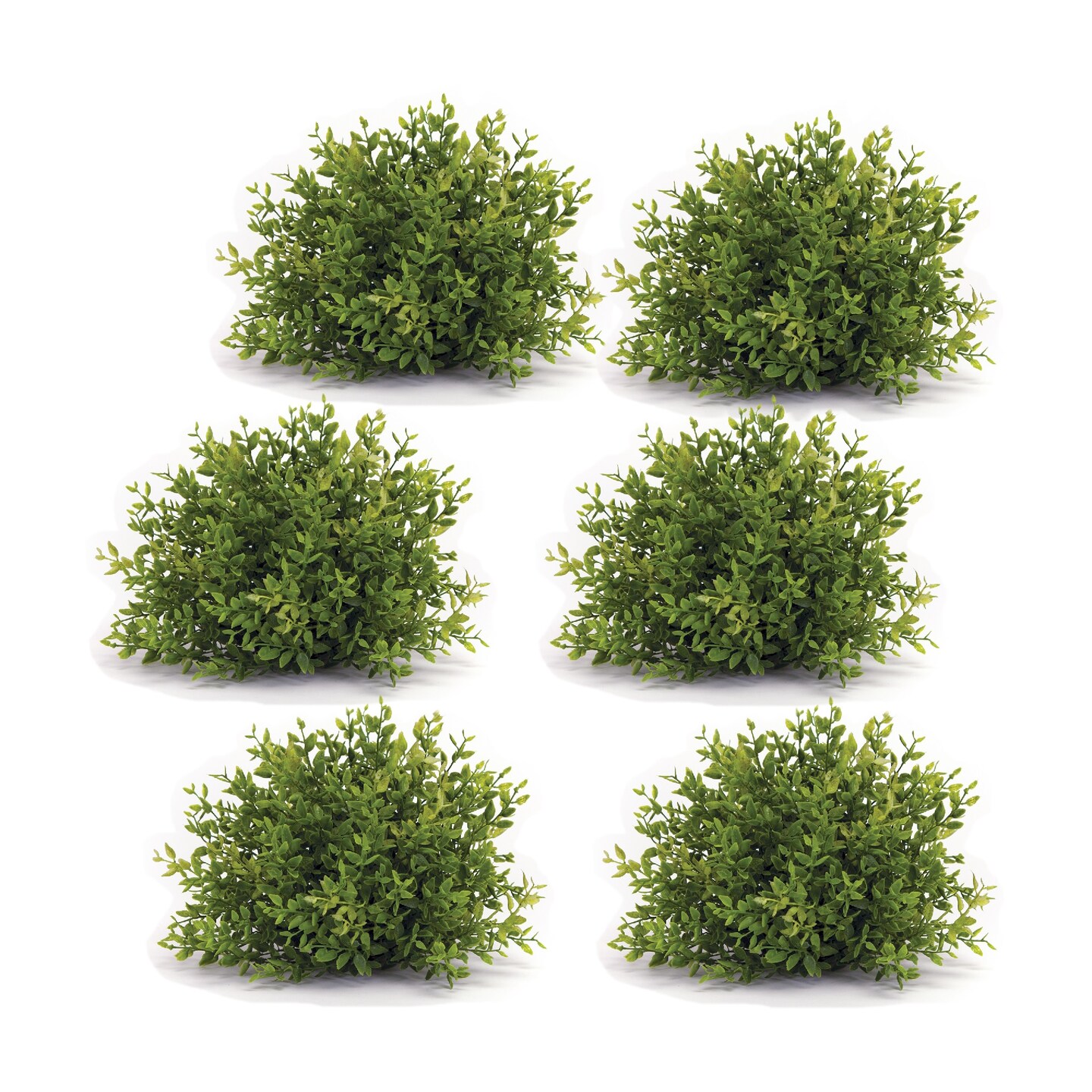 Melrose Set of 6 Half Orbs Mini Leaf Artificial Shrubs 7&#x201D;