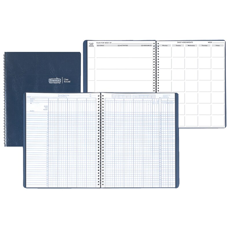 Combination Lesson Planner &#x26; Class Record Book, Pack of 2