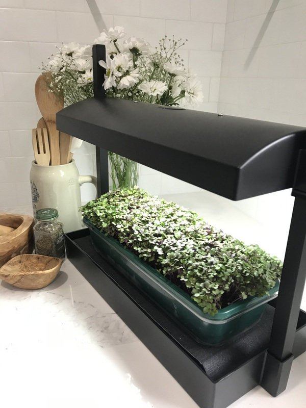 LED Microgreen Grow System - Everything you Need!