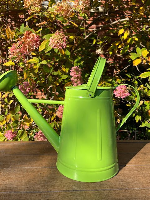 Large Watering Can - FUN COLORS | Michaels