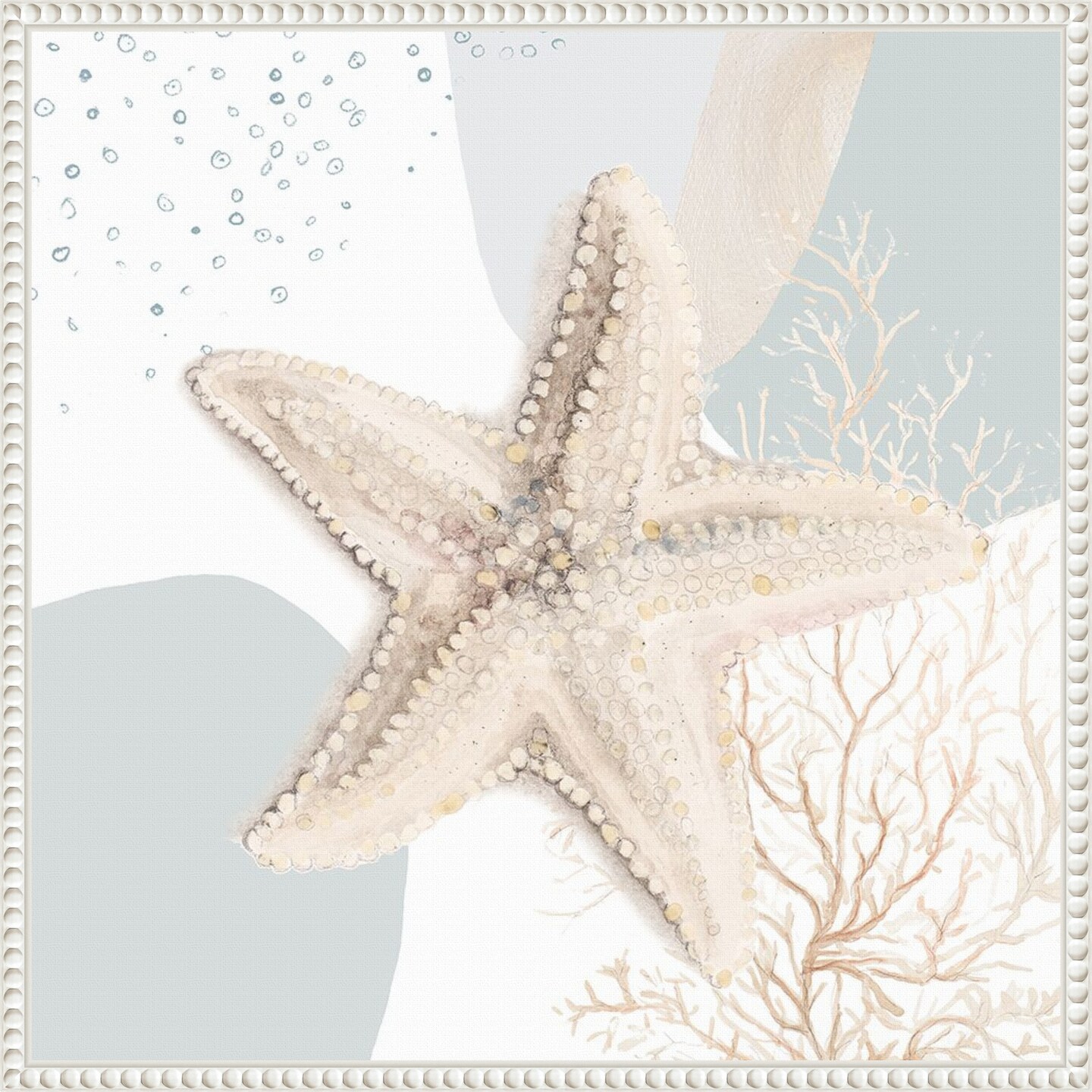 Ocean Oasis Bubbles Starfish by Patricia Pinto Framed Canvas Wall Art
