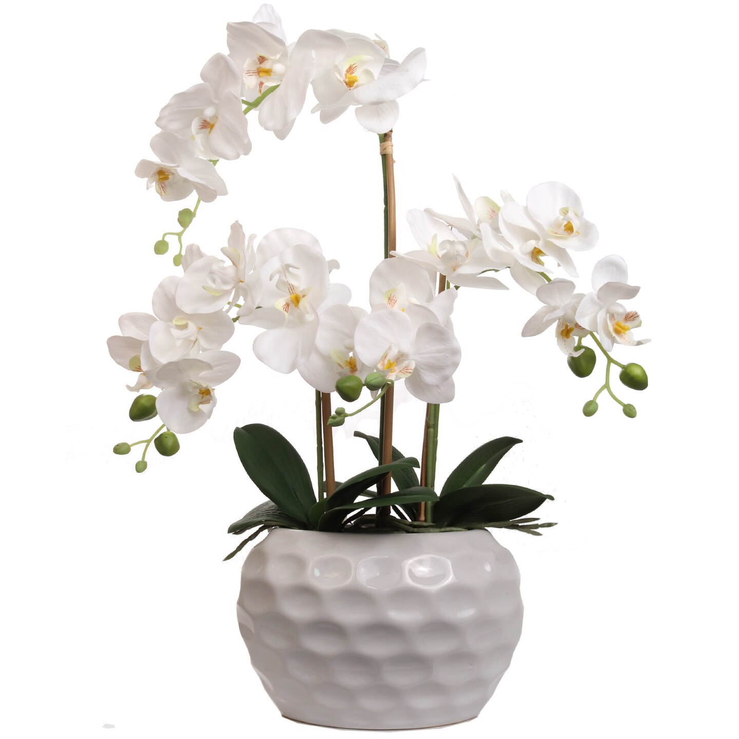 20&#x22; White Phalaenopsis Orchid Flowers in White Ceramic Vase by Floral Home&#xAE;