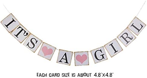 Baby Girl Baby Shower Decorations, It is a Girl Banners and Paper Lantern Paper Flower Pom Poms(Pink White Grey)