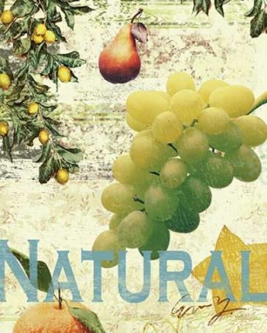 NATURAL FRUITS Poster Print by Eric Yang - Item # VARPDXEY19308