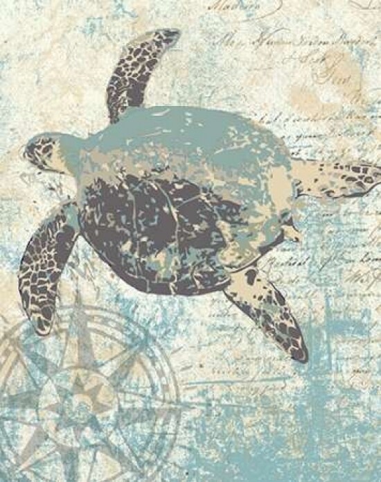 SEA TURTLES II Poster Print by Piper Ballantyne - Item # VARPDXPB24542