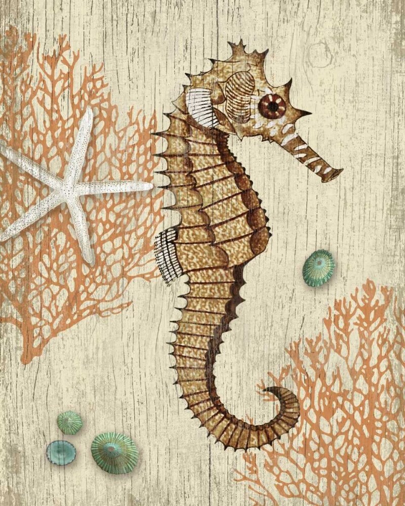 Vintage Seahorse Poster Print by Suzanne Nicoll - Item # VARPDXSN191